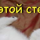 Юля Цідило фотография #24 (источник - https://vk.com/id135788843)