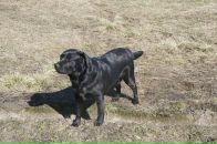 Фотография Бойков Сергей