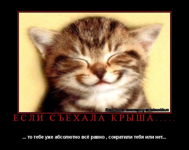 Катя Викоевиц фото №20