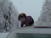 Фотография Емельяновой Елены