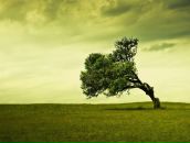 Фотография Журбы Сергея