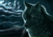 Фотография Шмакова Константина