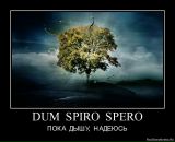 Фотография Досейкина Антона