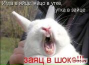 Ліза Найдьонова фотография #12 (источник - https://vk.com/id161034164)