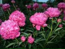 Фотография Козловой Светланы
