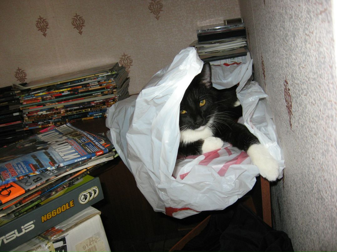 Антон Чучалин фотография #19