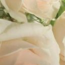 Іринка Ходинчак фотография #14 (источник - https://vk.com/id32260967)