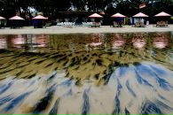 Фотография Воробьёва Антона