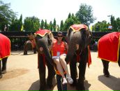 Фотография Букановой-Брежневой Людмилы