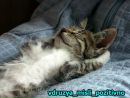 Юра Білий фотография #43 (источник - https://vk.com/id229306254)