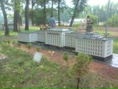 Надія Пилипів фотография #15 (источник - https://vk.com/id9259978)