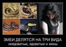 Сергій Климчук фотография #47 (источник - https://vk.com/id41641264)
