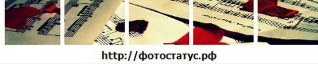 Dima Stepanov фотография #46 (источник - https://vk.com/id102427082)