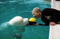 Фотография Arsen'eva Ol'ga