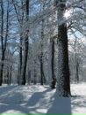 Антон Смирнов фотография #15 (источник - https://vk.com/id160448316)