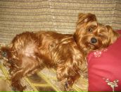 Фотография Полихи Маргариты