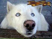 Фотография Трошиной Елены