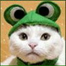 Фотография Друговского Алексея