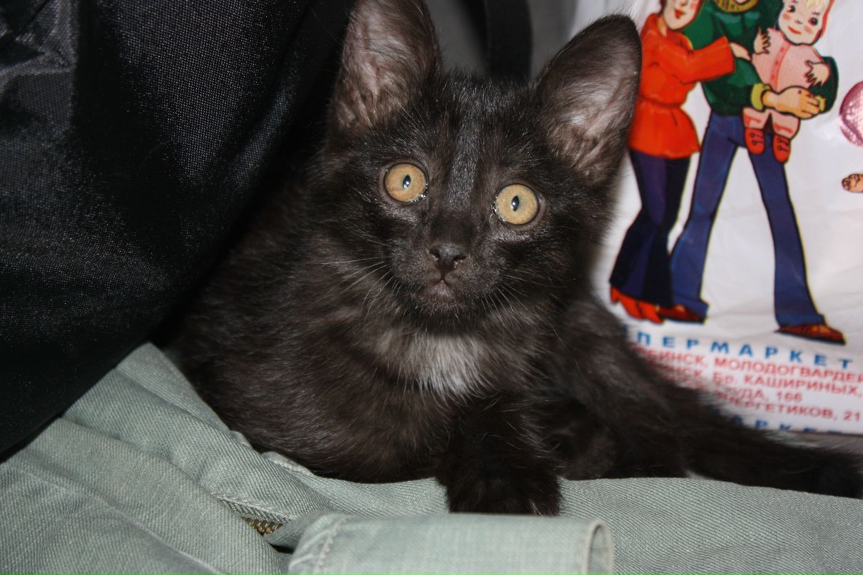 Марина Евстигнеева фотография #40