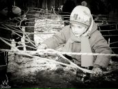 Εгор Κудряшов фотография #33 (источник - https://vk.com/id83579351)