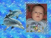 Фотография Воронина Александра