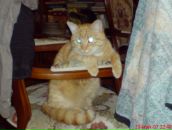 Фотография Евтеева Андрея