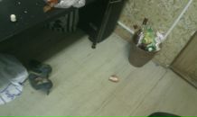 Алексей Папков фотография #1