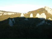 Claus ......... фотография #47 (источник - https://vk.com/id64961)