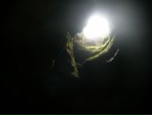 Евгения Линдер фотография #31 (источник - https://vk.com/id61108639)