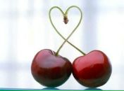 Фотография Стародумовой Анастасии