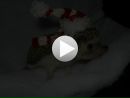 Ігор Федорчук фотография #36 (источник - https://vk.com/id150659396)
