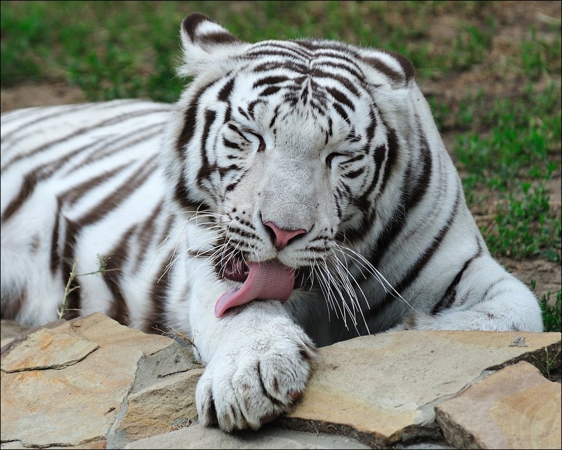 Сергей Мухачёв фотография #8