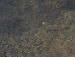 Маша Володимирівна фотография #36 (источник - https://vk.com/id87907859)