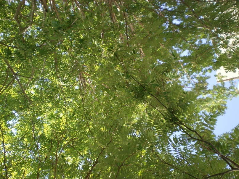 Саша Шляхов фотография #36