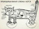 Фотография Назарко Константина