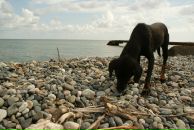 Сергей Матвейчук фотография #19 (источник - https://vk.com/id2555655)