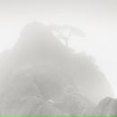 Nn Nn фотография #10 (источник - https://vk.com/id2185581)