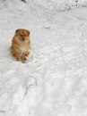 Ірочка Оверчук фотография #11 (источник - https://vk.com/id153074853)