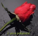 Ігор Лабяк фотография #13 (источник - https://vk.com/id10968602)