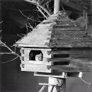 Фотография Коробейниковой Екатерины