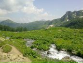 Igor Igor фотография #28 (источник - https://vk.com/id577602)