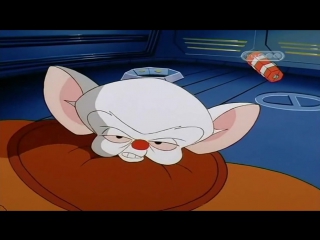 Пинки и Брейн (1 Сезон 11 Серия)