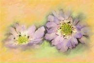 Оля Акимова фотография #46 (источник - https://vk.com/id1571407)