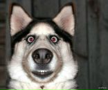 Фотография Юровой Анастасии