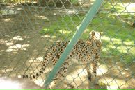 Іван Спас фотография #30 (источник - https://vk.com/id103149214)