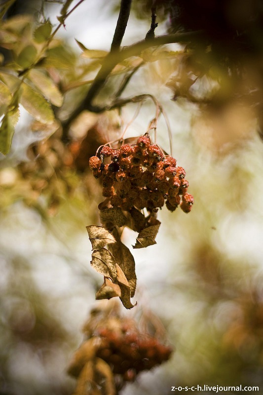 Павел Гращенко фотография #31