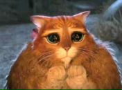 Фотография Скачкова Ивана