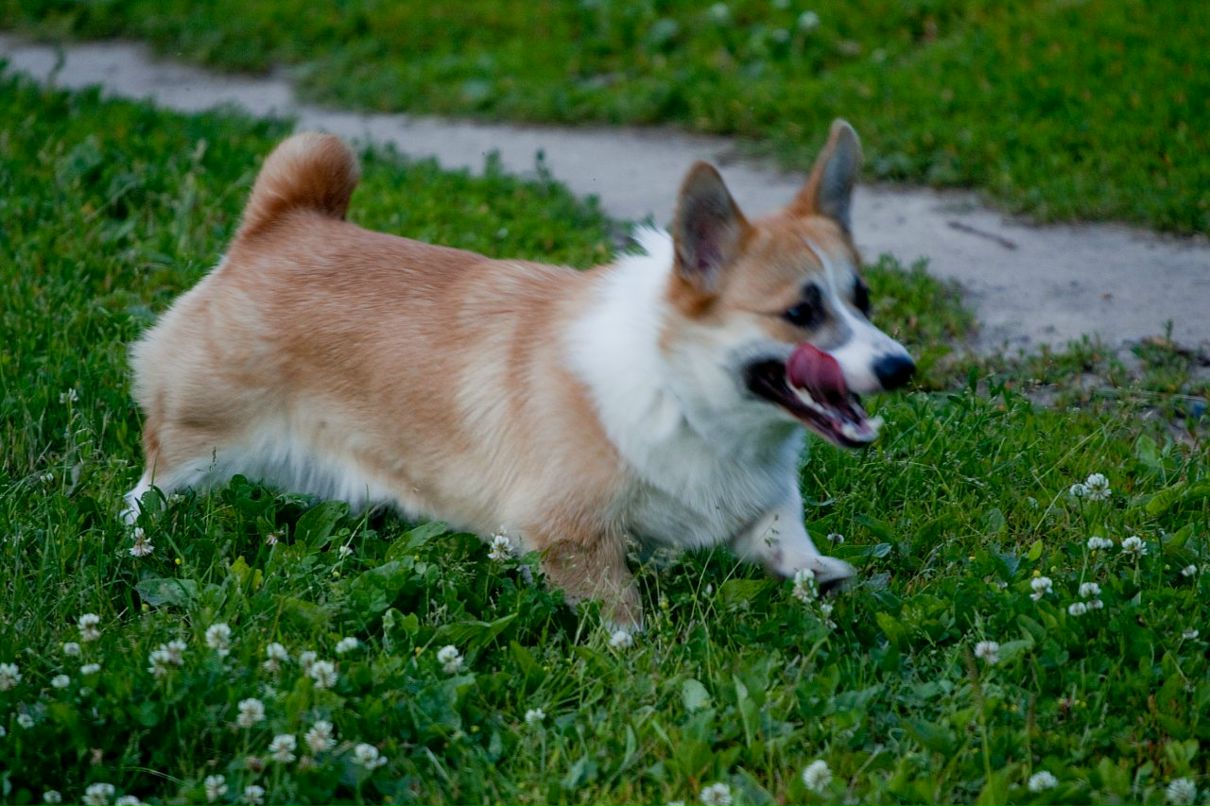 Александр Пушаков фотография #23