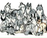 Фотография Даниловой Катерины