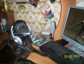 Фотография  